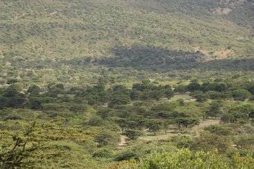هتل Elangata Olerai Luxury Camp