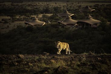 هتل Mahali Mzuri