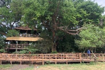 هتل Mara Sweet Acacia Lodge