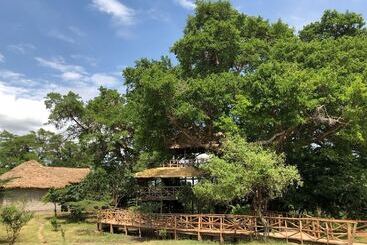 هتل Mara Sweet Acacia Lodge