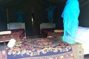 هتل Rhino Camp