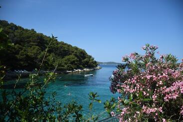 هتل Sirena Hvar