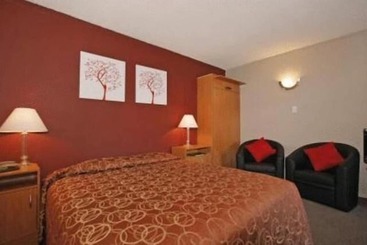 Kiwi Studios Motel