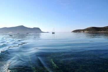 Blue Dolphin Antiparos Villas And Suites