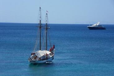Blue Dolphin Antiparos Villas And Suites