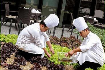 Pullman New Delhi Aerocity An Accor Hotels Brand