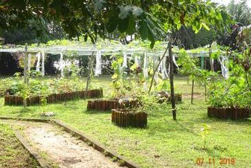 هتل Mangrove Villa   Yoga & Ayurveda