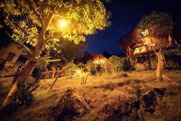 هتل Tree House Bungalows Koh Tao