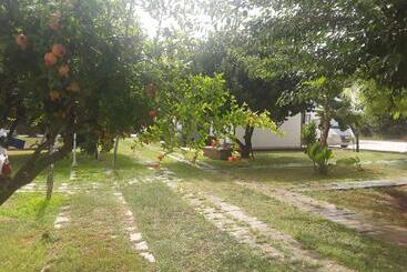 تختخواب و صبحانه Aranceto Hotel Agriturismo