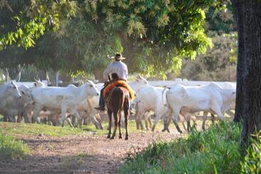 تختخواب و صبحانه Pantanal Ranch Meia Lua