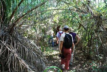 تختخواب و صبحانه Pantanal Ranch Meia Lua