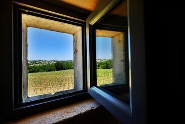 酒店 Masseria Trulli E Vigne