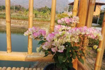 هتل คูณ เนื่อง ฟาร์ม สเตย์ หัวหิน Koon & Nueang Farm Stay Hua Hin