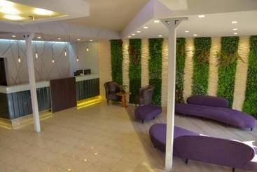 Ananque Hotel & Spa