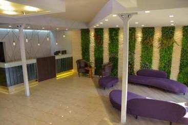 Ananque Hotel & Spa