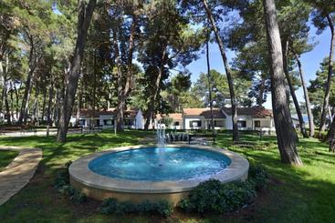 Жильё для туристов Apartments Galijot Plava Laguna