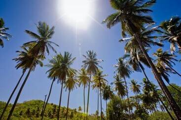هتل Firefly Estate Bequia