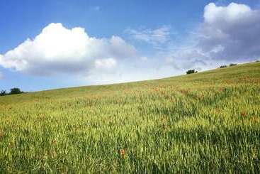 هتل روستایی Agriturismo Antica Torre