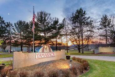 酒店 Tamarack Wisconsin Dells, A Ramada By Wyndham