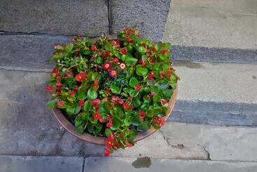 پانسیون Gongsimga Hanok Guesthouse