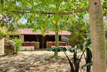 בית מלון כפרי Aldea Maya Toktli Orígenes: Alberca + Wifi Starlink + Tour Sustentabilidad