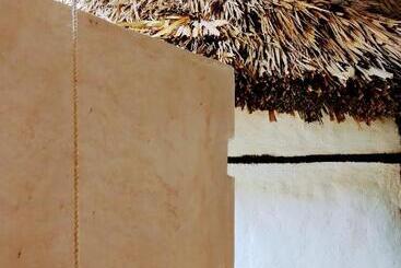 בית מלון כפרי Aldea Maya Toktli Orígenes: Alberca + Wifi Starlink + Tour Sustentabilidad