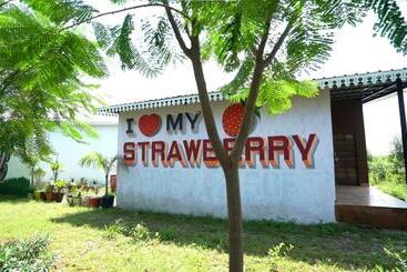 هتل Strawberry Resort