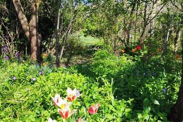 پانسیون Il Giardino Del Gallo