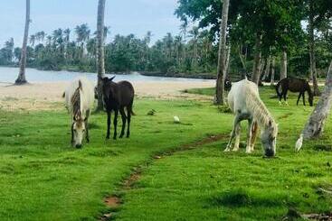 هتل Oasis En La Naturaleza Rancho Alto Bonito