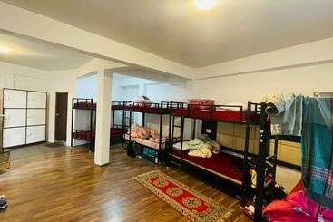 هاستل Backpackers Den