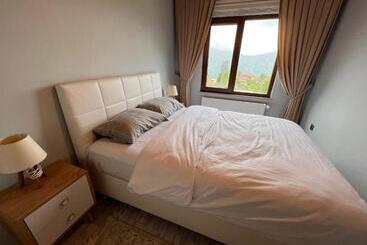 Shen Home Life