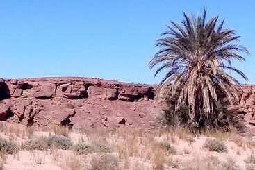 تختخواب و صبحانه La Vallée Des Dunes   Auberge, Bivouacs Et Excursions