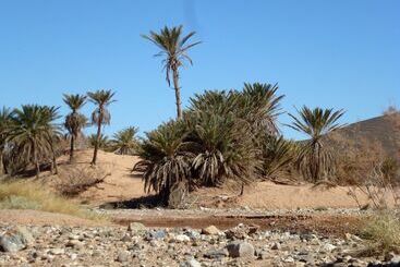 تختخواب و صبحانه La Vallée Des Dunes   Auberge, Bivouacs Et Excursions