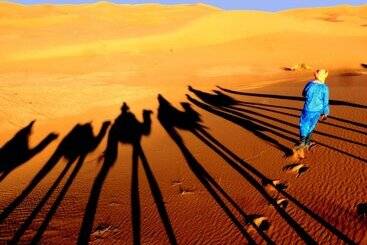 تختخواب و صبحانه La Vallée Des Dunes   Auberge, Bivouacs Et Excursions