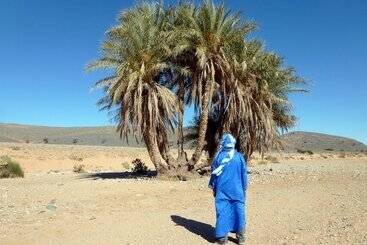 تختخواب و صبحانه La Vallée Des Dunes   Auberge, Bivouacs Et Excursions