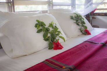 هتل Cotton Tree Lodge