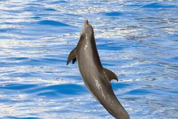 هتل Marineland Hôtel