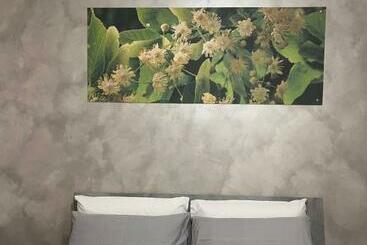 B&b Sulviale - Ladispoli