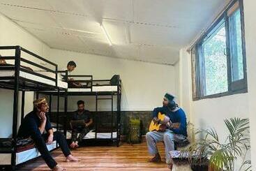 هاستل Dreamwoods A Travellers Farmhouse