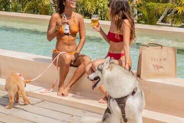 Cervecería Tulum Boutique Hotel & Beer Spa   All Inclusive