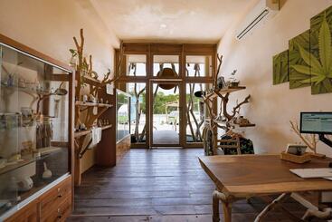 Cervecería Tulum Boutique Hotel & Beer Spa   All Inclusive