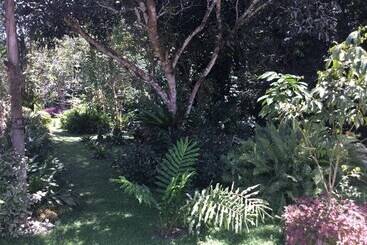 호스텔 Camiguin Lanzones Resort