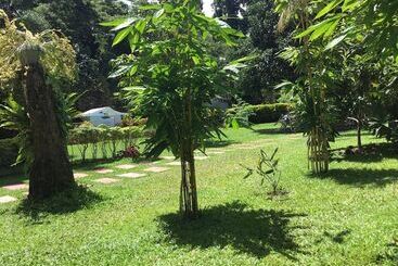 호스텔 Camiguin Lanzones Resort
