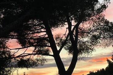 ベッドアンドブレックファースト Le Mas Angelou