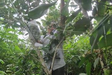 تختخواب و صبحانه Dong Thanh Ecolodge Homestay