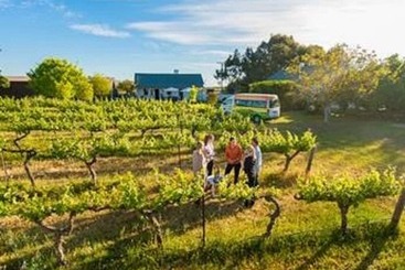 هتل Barossa Dreams