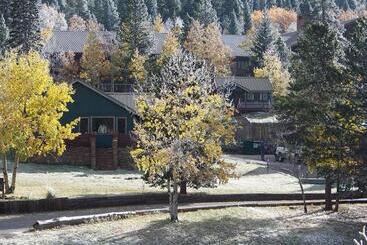 هتل Dao House