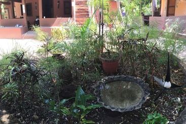 هتل Nemasu Ecolodge