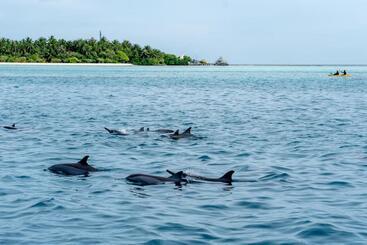 هتل One On Inn Maldives