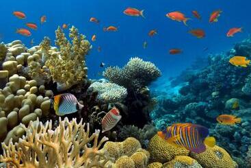 هتل One On Inn Maldives